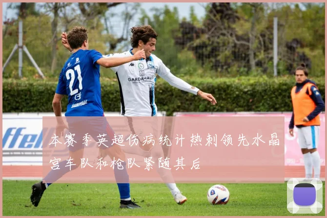 本赛季英超伤病统计热刺领先水晶宫车队和枪队紧随其后