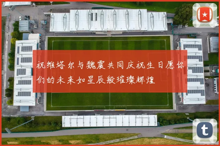 祝维塔尔与魏震共同庆祝生日愿你们的未来如星辰般璀璨辉煌